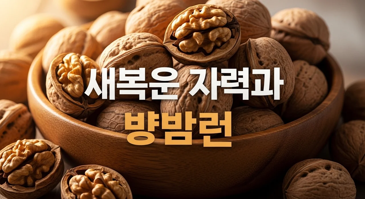 호두 효능 7가지와 하루 권장 섭취량 부작용 칼로리 완벽 정리